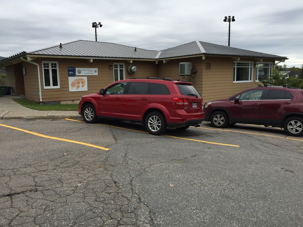 Bibliothèque de Clermont "La chute de mots" | 11 Rue Jean-Talon O, Clermont, QC G4A 1A4, Canada | Phone: (418) 439-2903