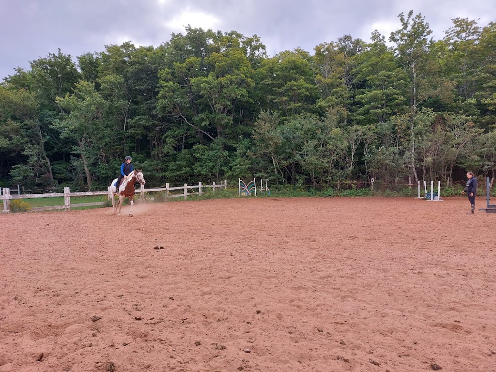 Anchor Equestrian | 18399 PE-2, North Wiltshire, PE C0A 1Y0, Canada | Phone: (306) 460-0063