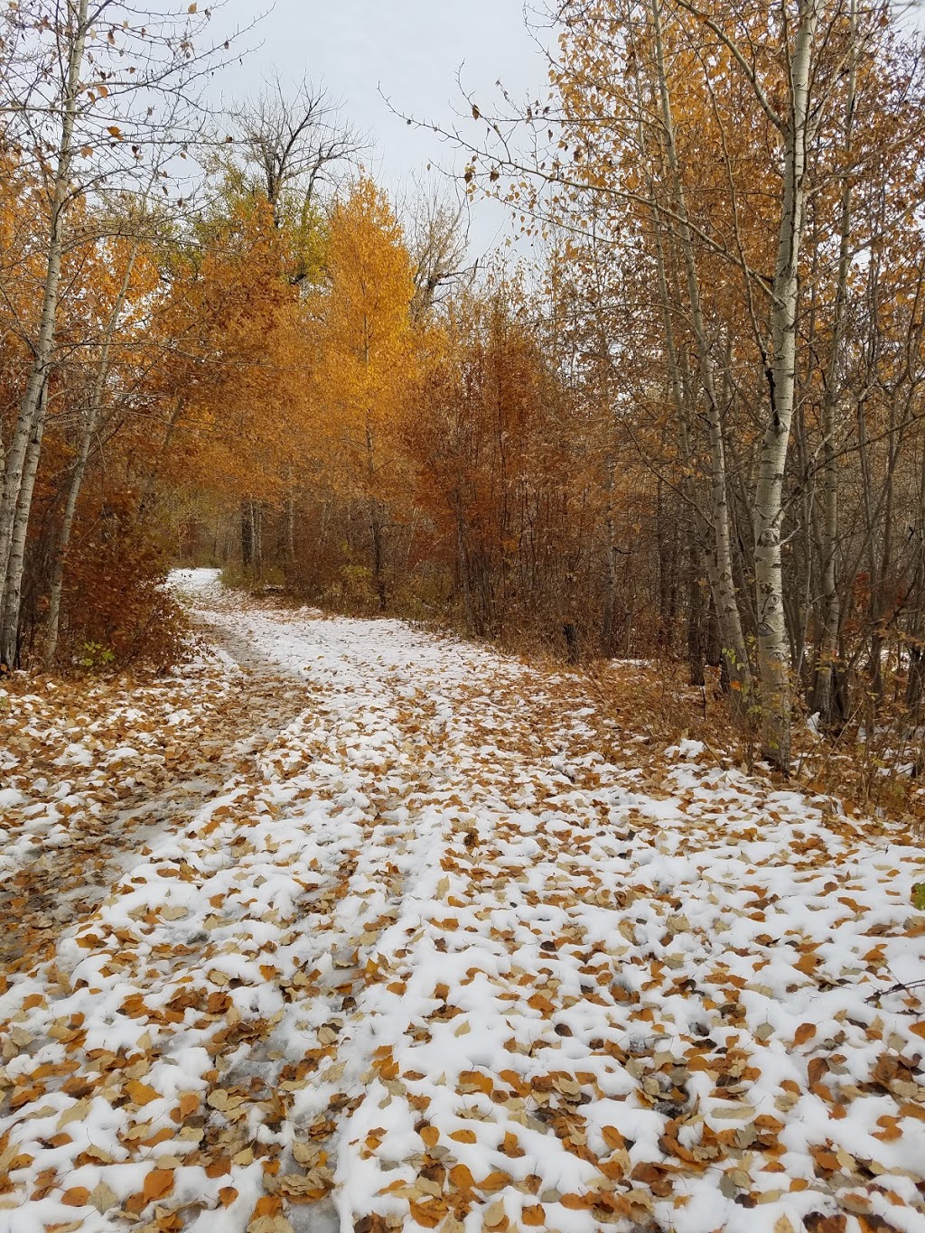 Glennfield - Area A | Southeast Calgary, Calgary, AB T2X, Canada | Phone: (403) 297-5293