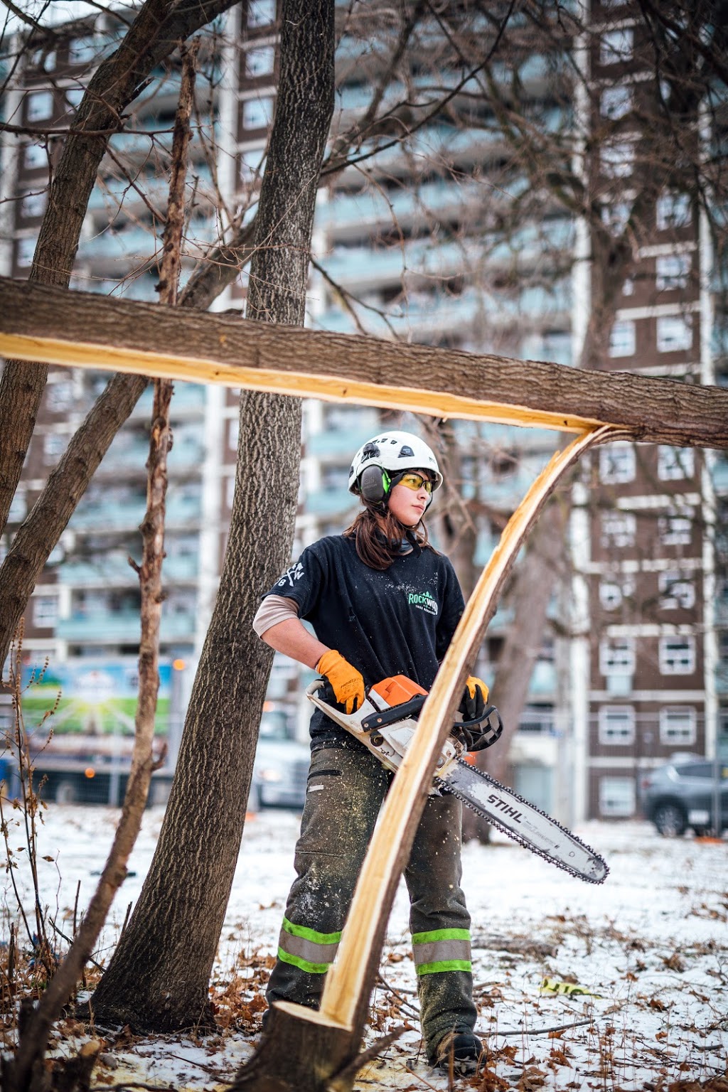 Rockwood Tree Services | 925 Bayly St Unit 28, Pickering, ON L1W 1L4, Canada | Phone: (647) 836-7060