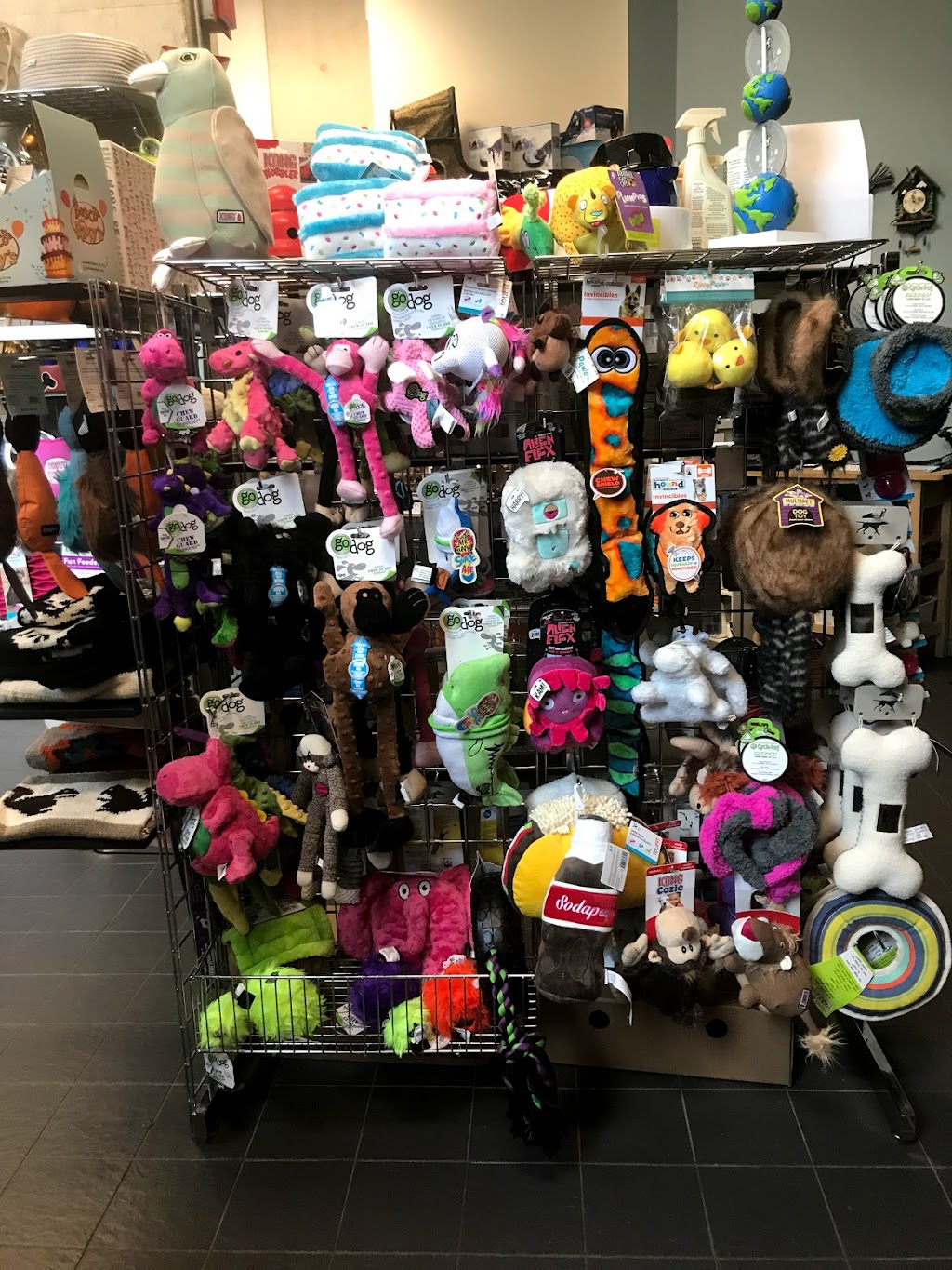 Cricket & Company | 21 Murray St, Ottawa, ON K1N 9M5, Canada | Phone: (613) 562-1919