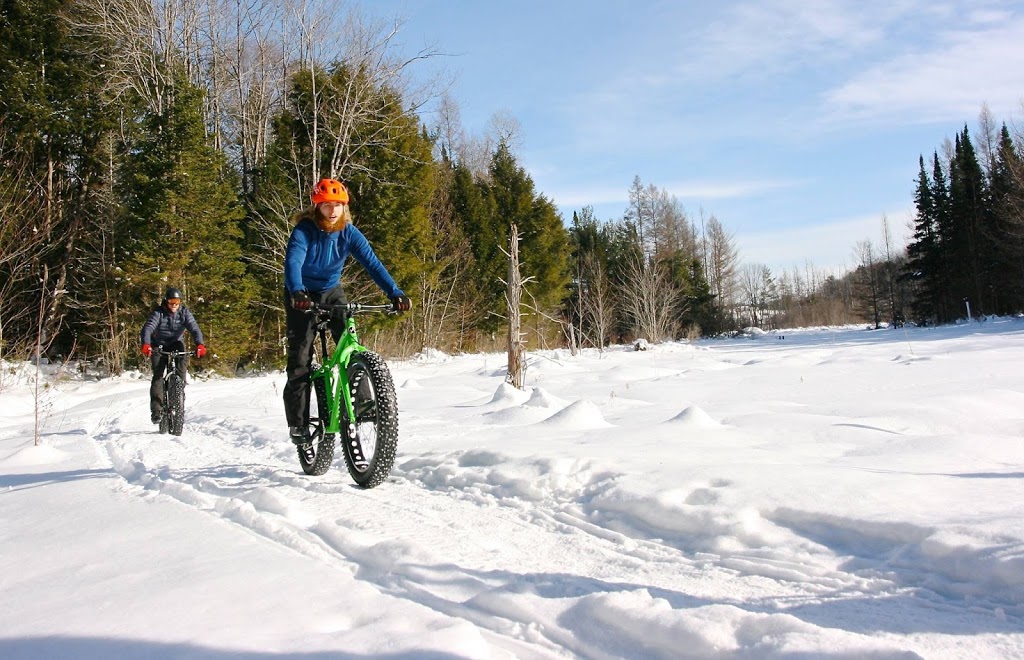 LIV OUTSIDE Bike Park | 112-114 Southbank Dr, Bracebridge, ON P1L 1G3, Canada | Phone: (705) 646-0492