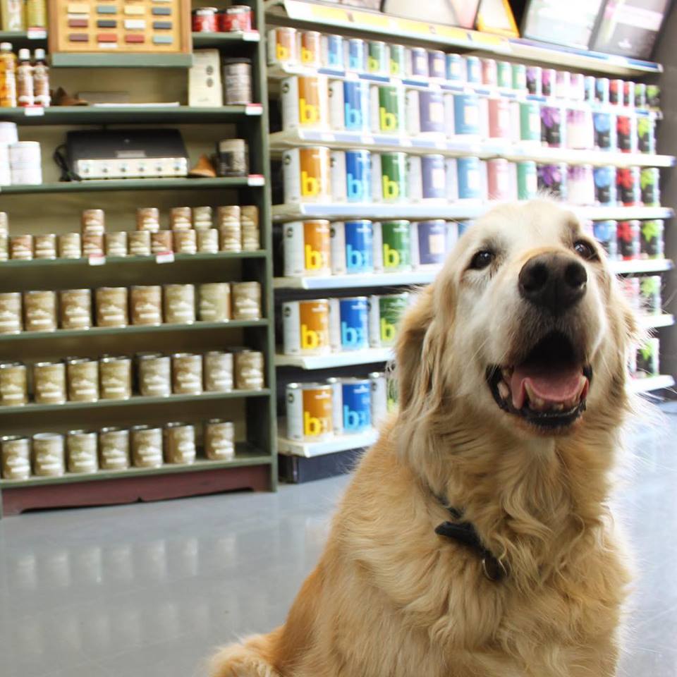Mountain Paint | 1055 Millar Creek Rd #110, Whistler, BC V8E 0K7, Canada | Phone: (604) 938-1213