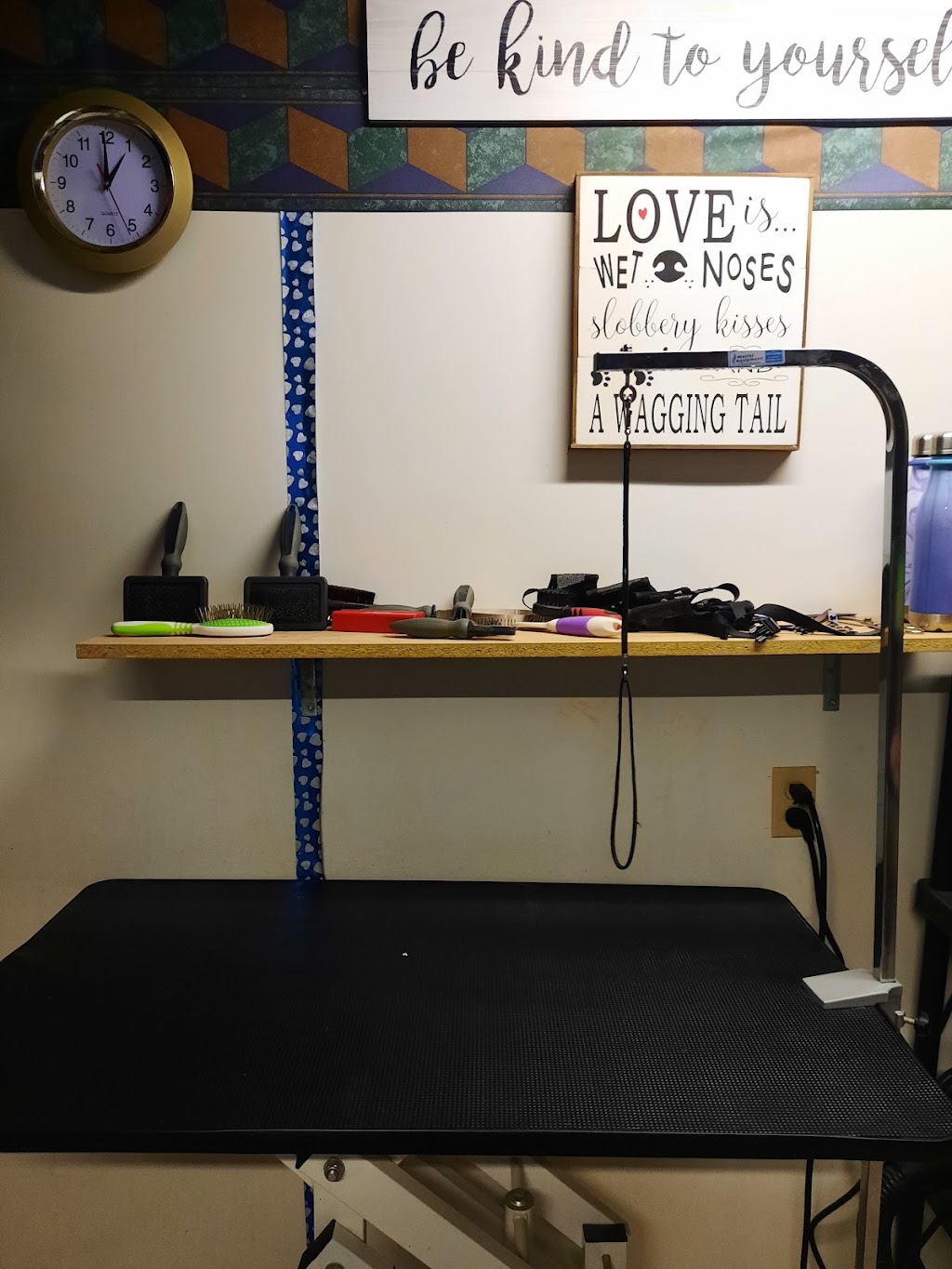 Pampered Pets by Katie | 60 Pinecrest Ave, Keene, ON K0L 2G0, Canada | Phone: (705) 761-5541