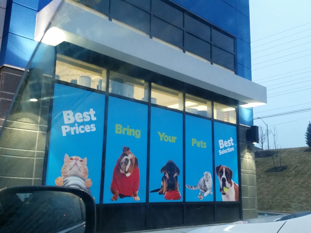 Rens Pets Aurora | 239 Earl Stewart Dr #5, Aurora, ON L4G 7Y3, Canada | Phone: (905) 503-2143