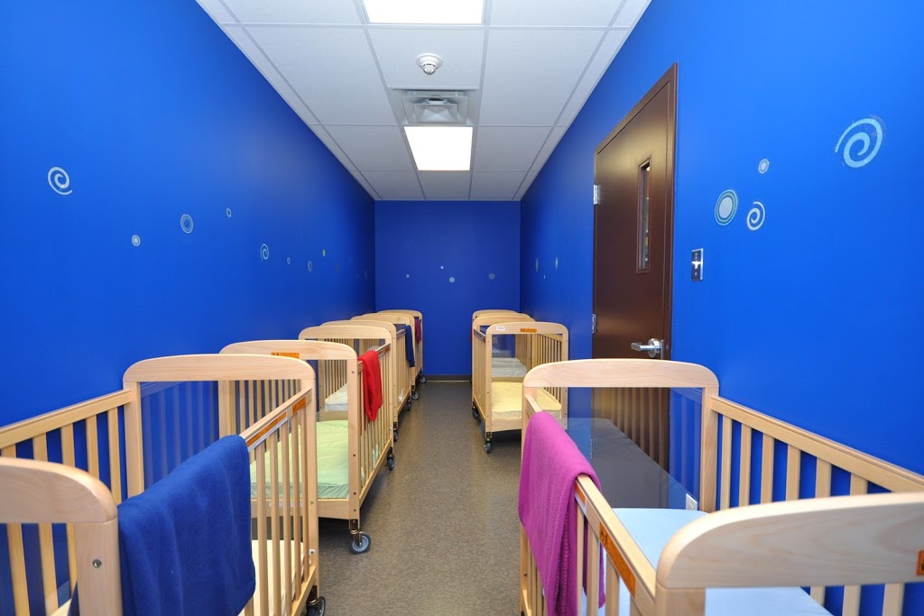 Willowbrae Academy | 21 Glen Arbour Way, Hammonds Plains, NS B4B 1P3, Canada | Phone: (902) 423-2273