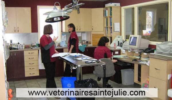 Hôpital Vétérinaire Victoria ???? | 755 Montée Sainte-Julie, Sainte-Julie, QC J3E 1W9, Canada | Phone: (450) 922-2180