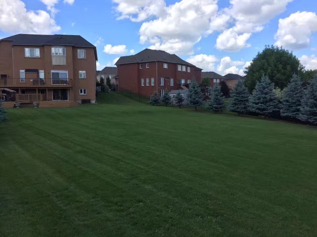 Garden | 75 Sandyhook Square, Scarborough, ON M1W 3N6, Canada | Phone: (647) 871-5233