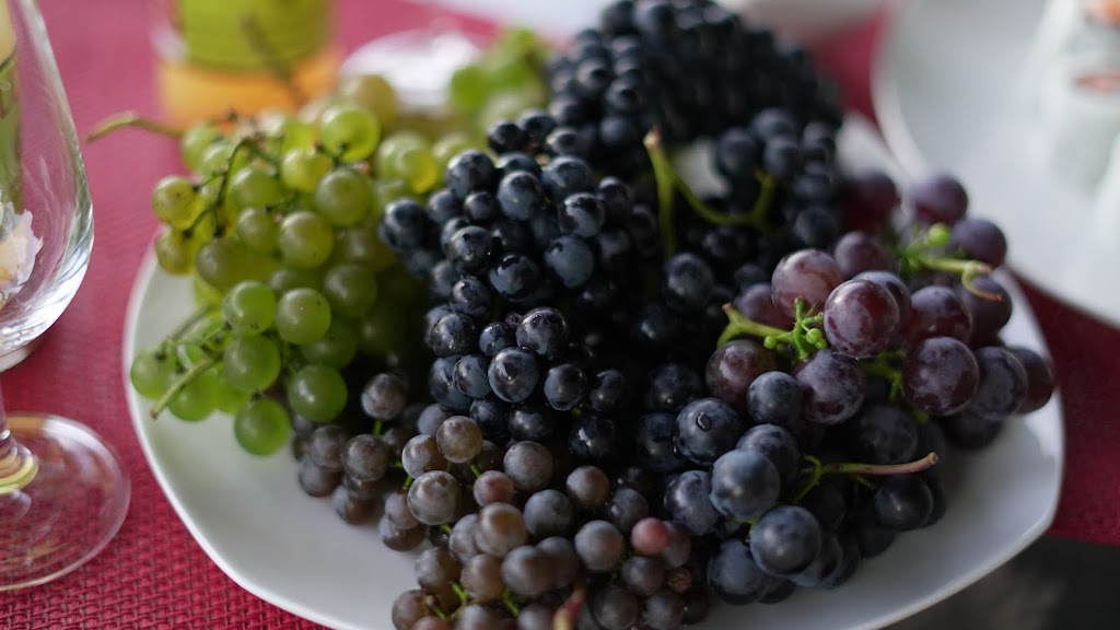 Vignoble Le 10-vin | 672 Rang Marigot, Saint-Apollinaire, QC G0S 2E0, Canada | Phone: (418) 881-1020