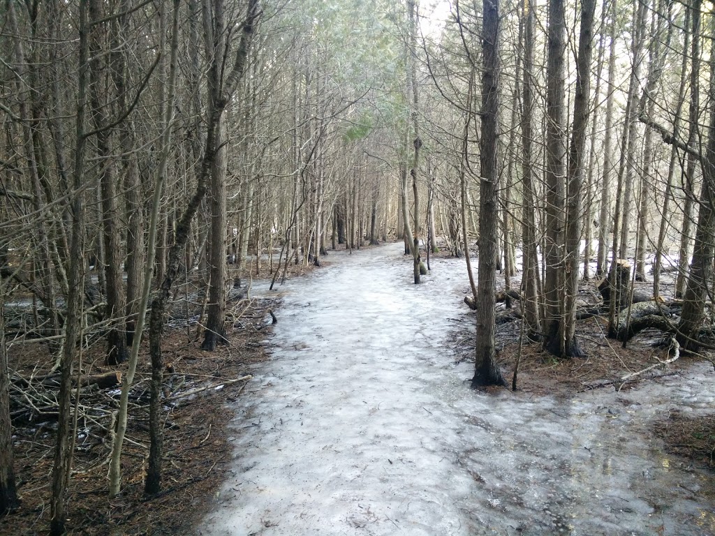 Preservation Park | 226 Kortright Rd W, Guelph, ON N1G 4Y9, Canada