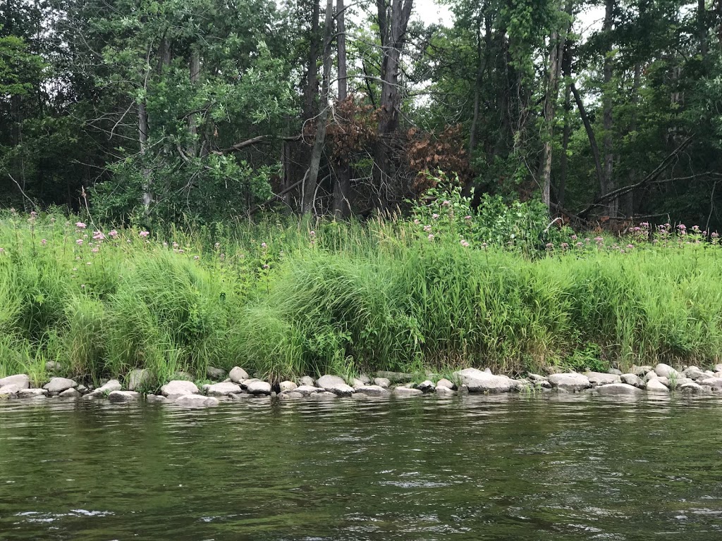 Grand River Rafting Company | 31 Mechanic St, Paris, ON N3L 1K1, Canada | Phone: (519) 442-2519