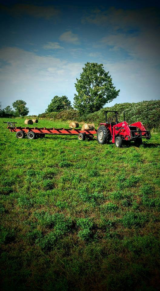 Rayner Ranch | 668 County Rd 27, Castleton, ON K0K 1M0, Canada | Phone: (705) 977-2322