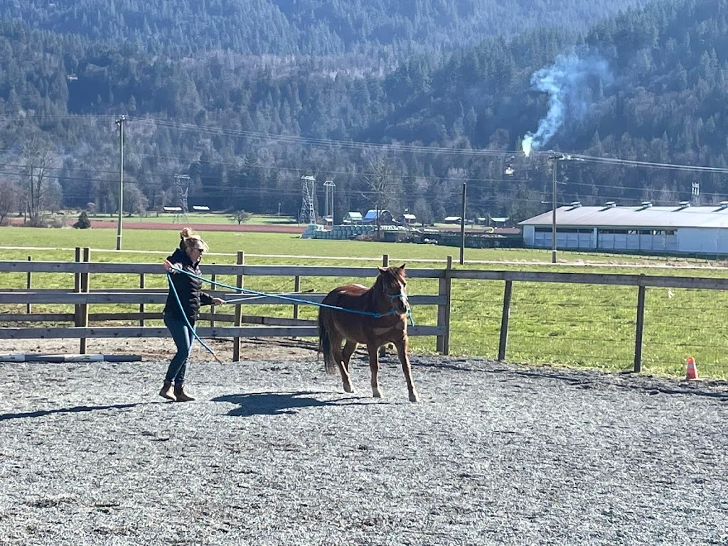 Discovery Equine at Cheam Stables | 9345 Ford Rd, Rosedale, BC V0X 1X2, Canada | Phone: (604) 316-0803