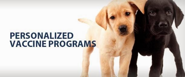 Town & Country Animal Hospital | 5208 Stouffville Rd, Whitchurch-Stouffville, ON L4A 7X5, Canada | Phone: (905) 640-4107
