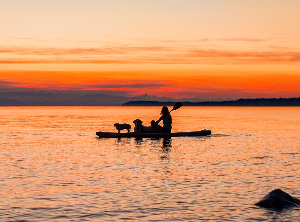 Oyster Beach House | 3909 BC-101, Powell River, BC V8A 0C6, Canada | Phone: (604) 849-5777