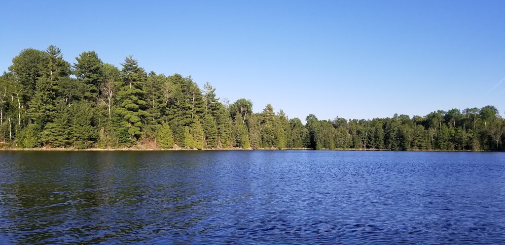 Parc régional du Poisson Blanc | 37 Chemin de la Truite, Notre-Dame-du-Laus, QC J0X 2M0, Canada | Phone: (819) 767-2999