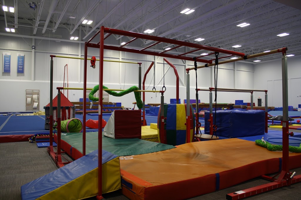 Aerials Gymnastics Club | 9 Tri Leisure Way, Spruce Grove, AB T7X 0T3, Canada | Phone: (780) 962-5350