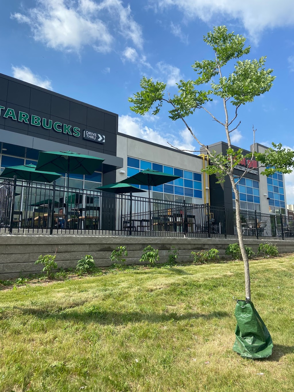 Freshii | 39 Abraham Welsh Rd Unit C2, Toronto, ON M9M 0G6, Canada | Phone: (437) 317-3362