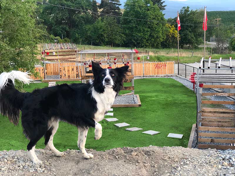 Farming Karma RV Park | 1160 McKenzie Rd #101, Kelowna, BC V1P 1C3, Canada | Phone: (250) 863-0289