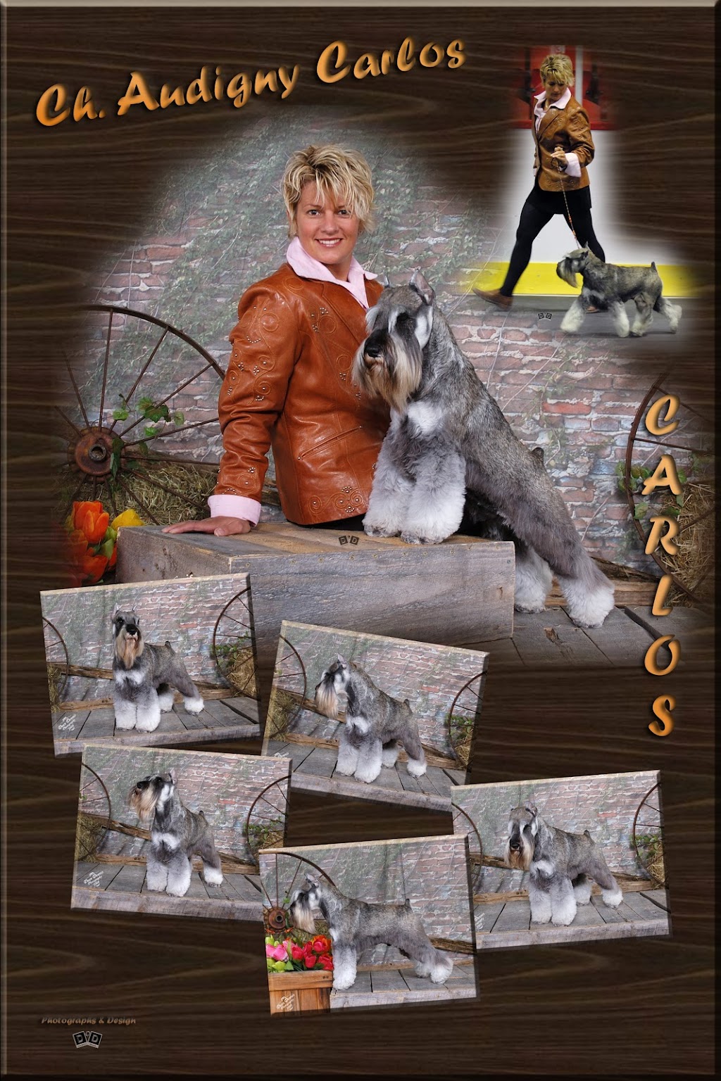 Studio Lart Canin | 2087 Av. du Lac-Saint-Charles, Québec, QC G3G 2Y1, Canada | Phone: (418) 849-6298