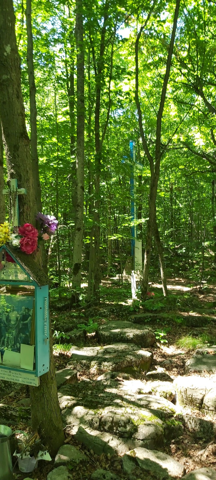 Greensides Farm | 15 Greenside Ln, Marmora, ON K0K 2M0, Canada | Phone: (613) 472-3715