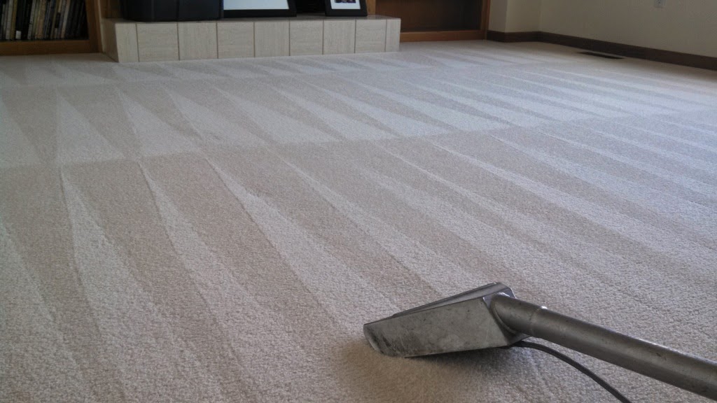 Carpet Care Cleaners | 5572 Guide Meridian #1, Bellingham, WA 98226, USA | Phone: (360) 927-1255