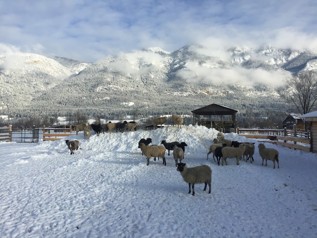 Riverside Farm | 2760 Brisco Rd, Brisco, BC V0A 1B0, Canada | Phone: (250) 219-9443