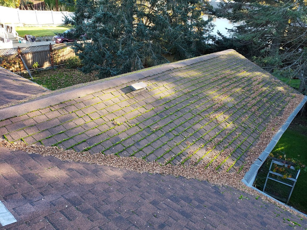 Property Wizard - Outstanding Window, Roof, and Gutter Cleaning | point of interest | 595 Gorge Rd E, Victoria, BC V8T 2W5, Canada | 2505802670 OR +1 250-580-2670