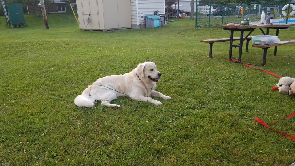 Wildwood Camp Grounds | 9197 44, Oxford Station, ON K0G 1T0, Canada | Phone: (613) 258-2940
