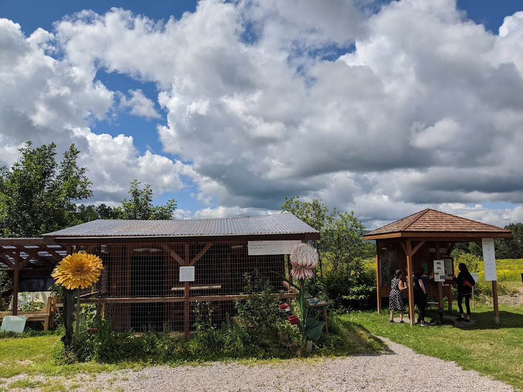 Miels dAnicet | 111 Rang 2 de Gravel, Ferme-Neuve, QC J0W 1C0, Canada | Phone: (819) 587-4825
