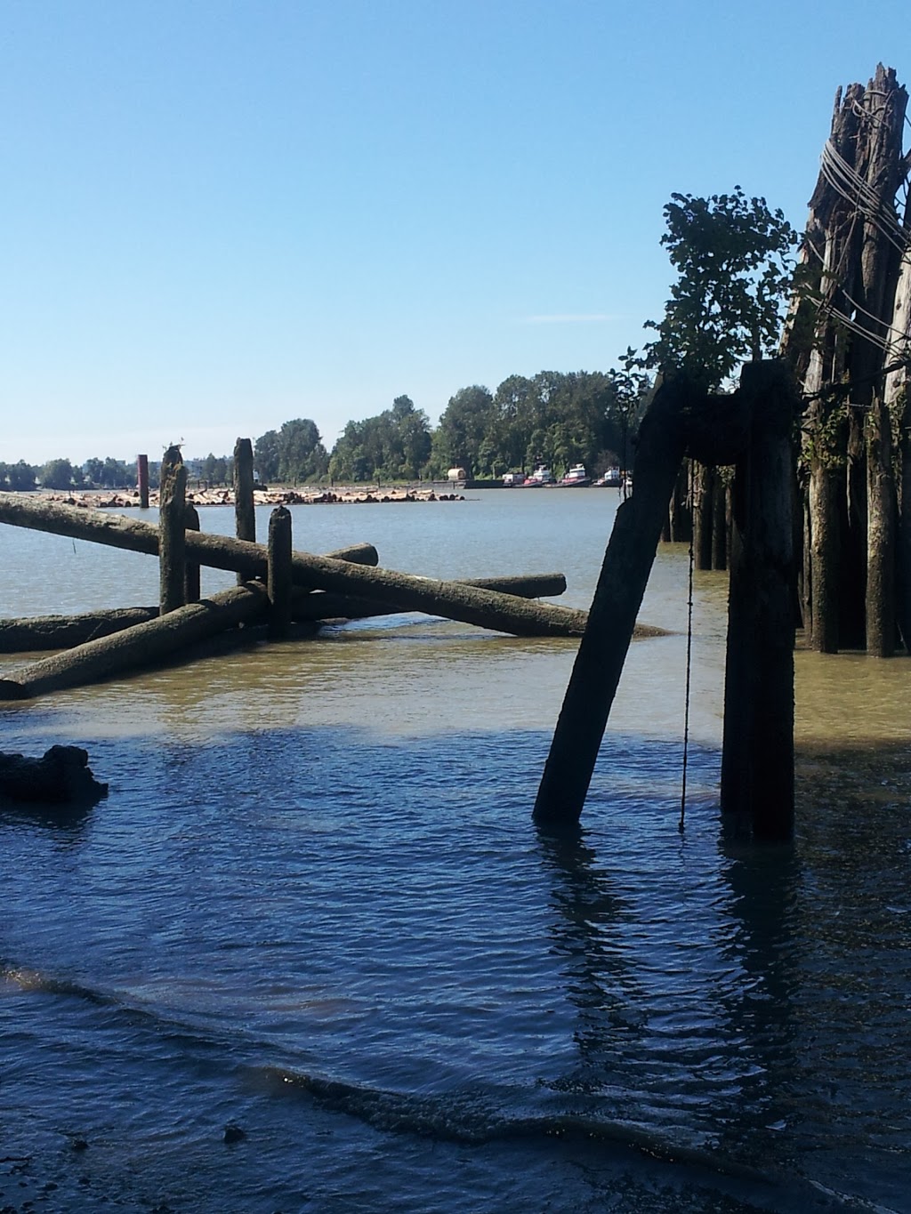 No. 7 Road Pier Park | 15811 River Rd, Richmond, BC V6V 1X5, Canada
