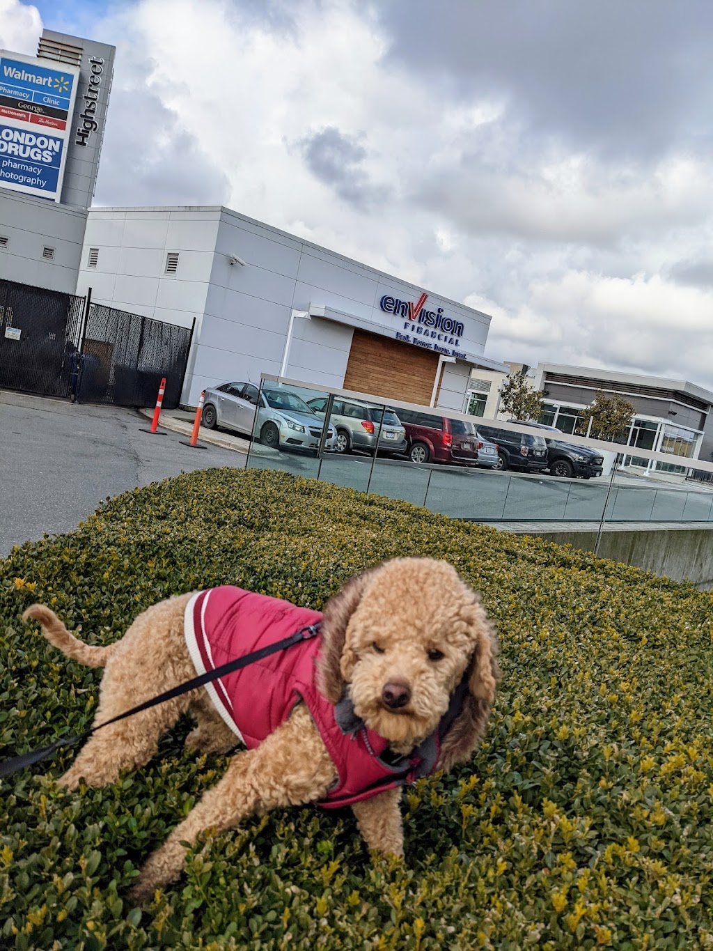 Envision Financial | 3122 Mount Lehman Rd F120, Abbotsford, BC V2T 0C5, Canada | Phone: (888) 597-6083