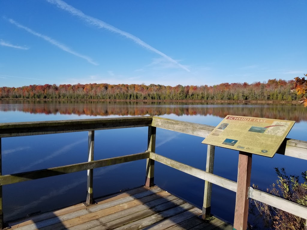 Greenock Swamp Wetland Complex | Greenock Swamp Wetland Complex, Chepstow, ON N0G 1K0, Canada | Phone: (519) 367-3040