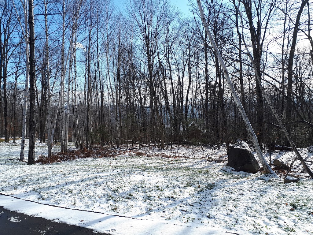 Extermination Des Monts | 668 Chemin des Bouleaux, Saint-Sauveur, QC J0R 1K0, Canada | Phone: (450) 227-0997