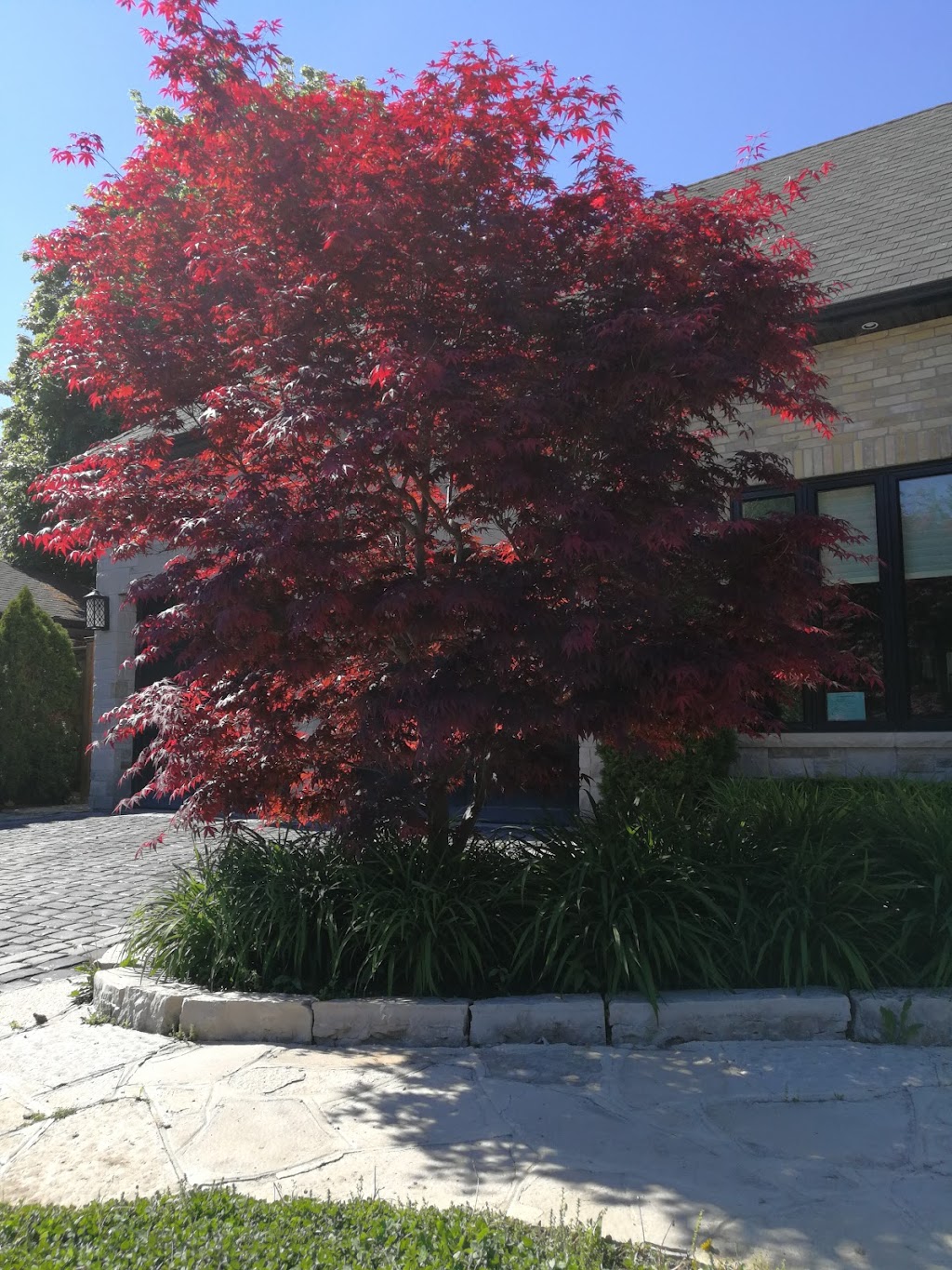 IrrigationNation | 8 Ransom Ct, Aurora, ON L4G 2K8, Canada | Phone: (905) 806-8252