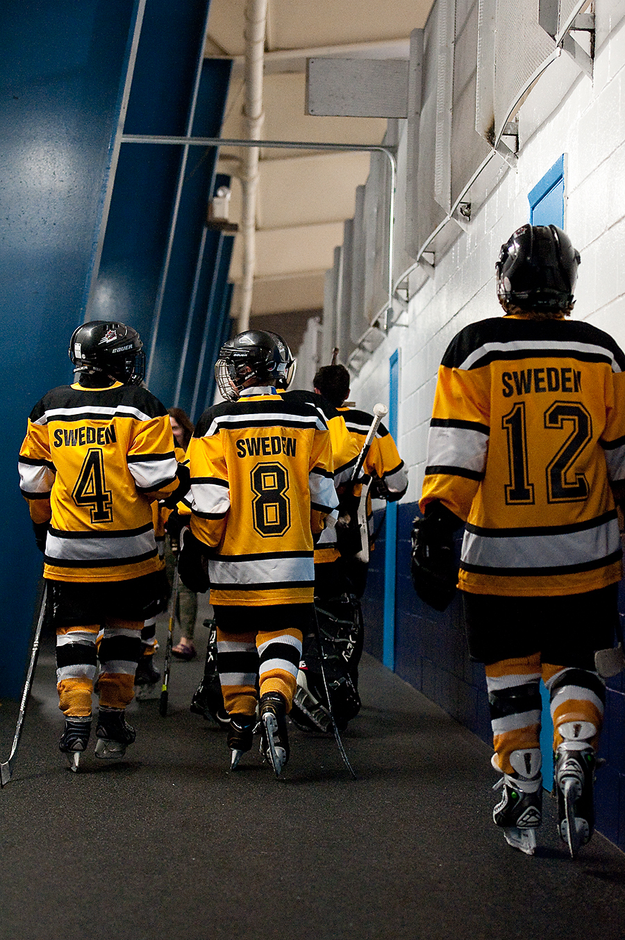 Lambton Arena | 4100 Dundas St W, York, ON M6S 2T7, Canada | Phone: (416) 394-2735