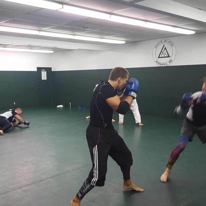 Gracie Jiu-Jitsu Winnipeg | 827 Cavalier Dr, Winnipeg, MB R2Y 1Z8, Canada | Phone: (204) 995-5585