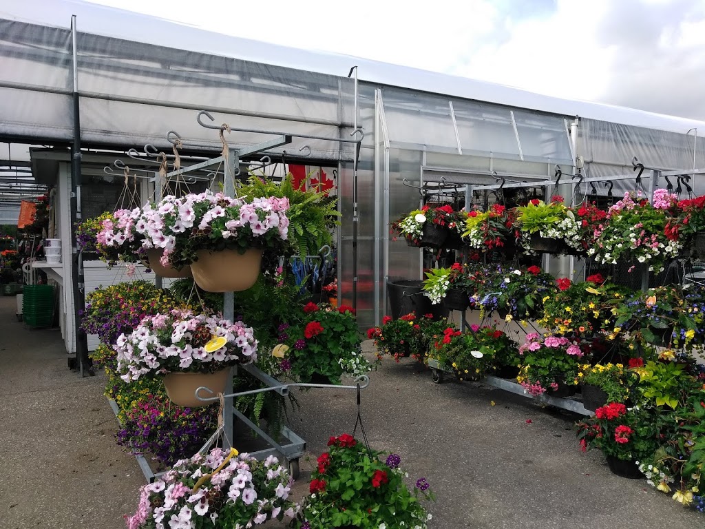 Sheridan Nurseries Limited | 100 Elmsdale Dr, Kitchener, ON N2E 1H6, Canada | Phone: (519) 743-4146