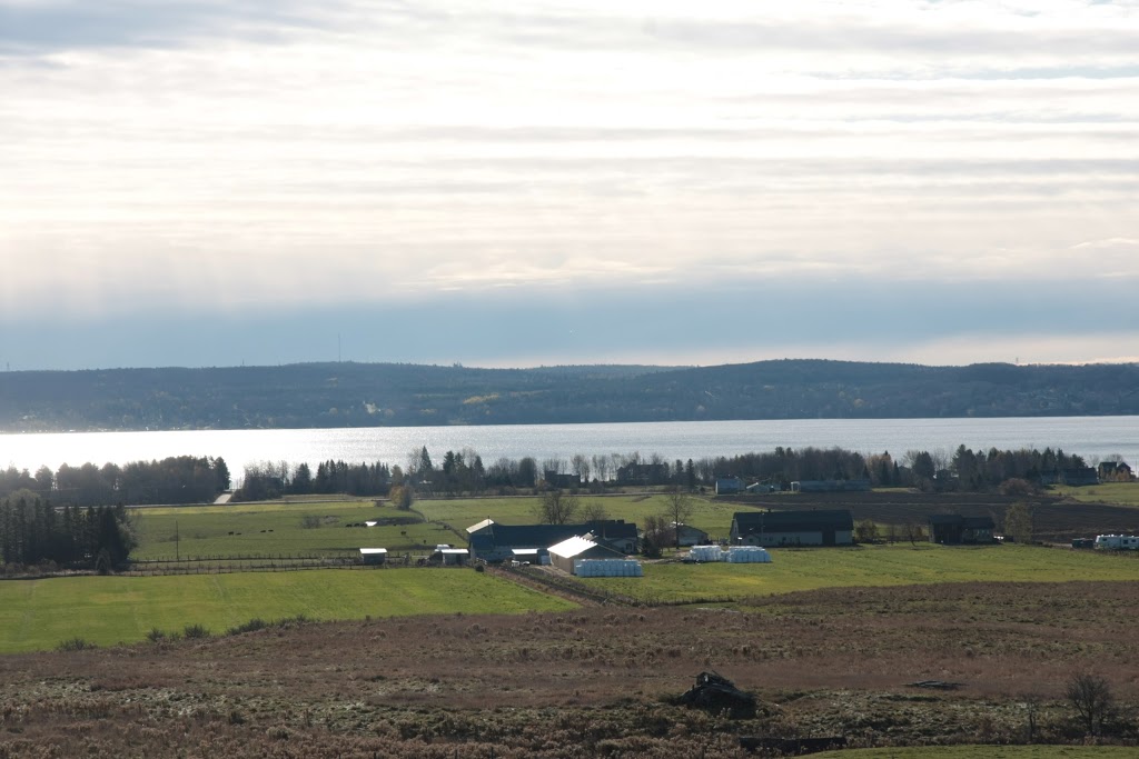 La ferme Une Faim de Loup | 701 Chemin Beauparlant, Saint-Damien, QC J0K 2E0, Canada | Phone: (450) 752-9542