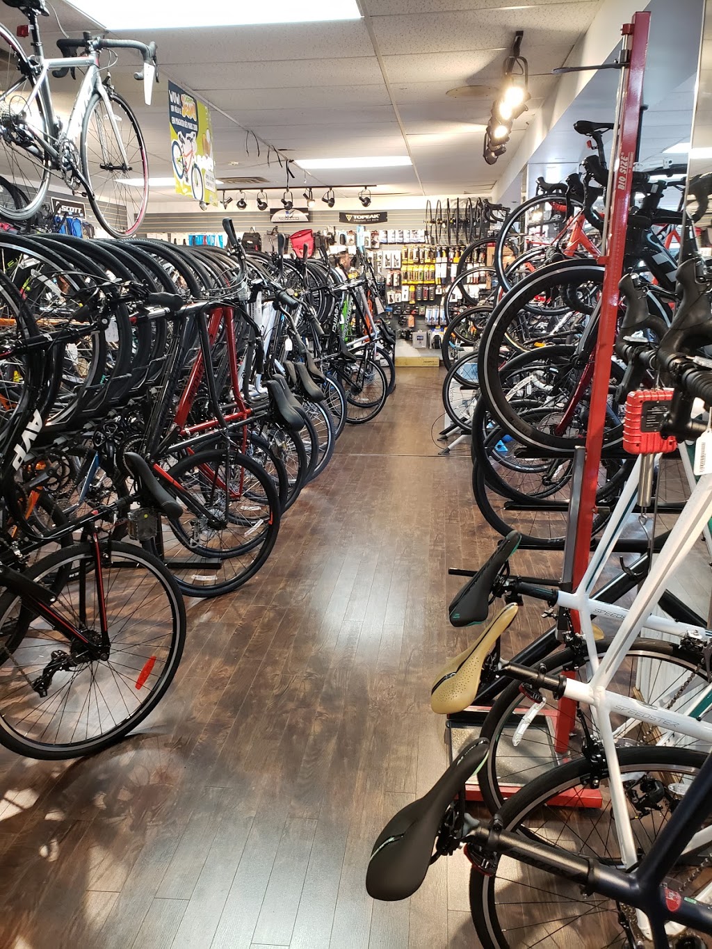 velozone