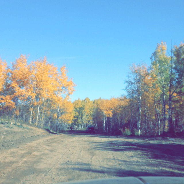 Deb Georget | Site 610 Comp 60 RR 6, Saskatoon, SK S7K 3J9, Canada | Phone: (306) 717-4979