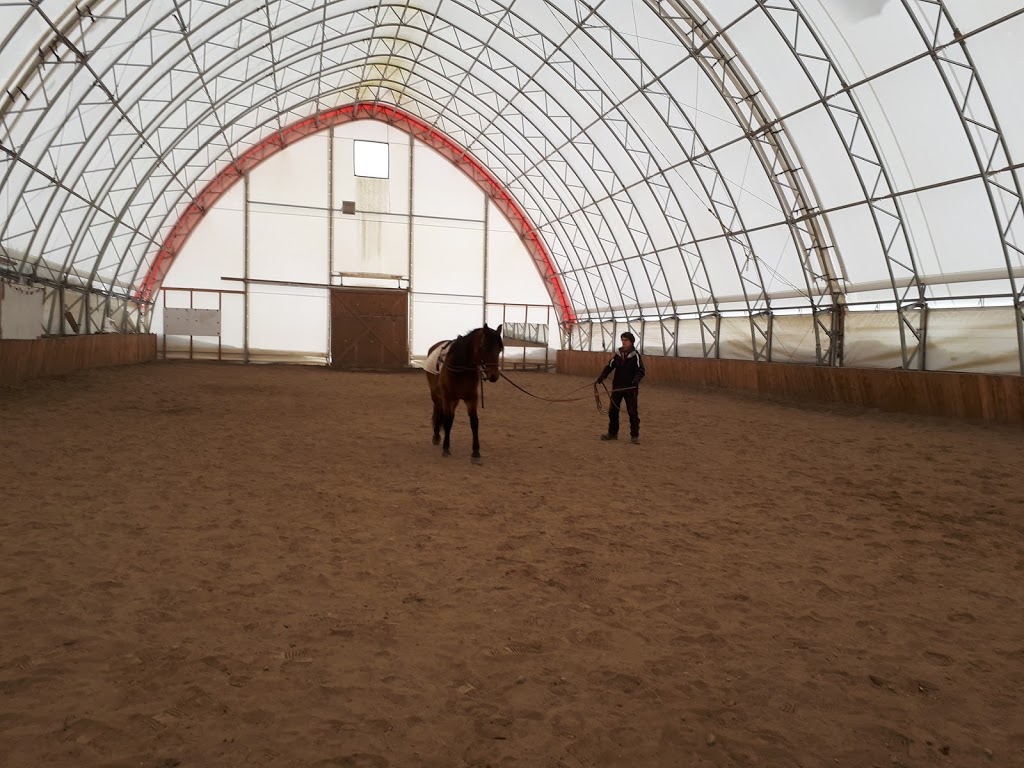 Ferme Brio | 455 Chemin du Petit Brompton, Racine, QC J0E 1Y0, Canada | Phone: (819) 679-3433