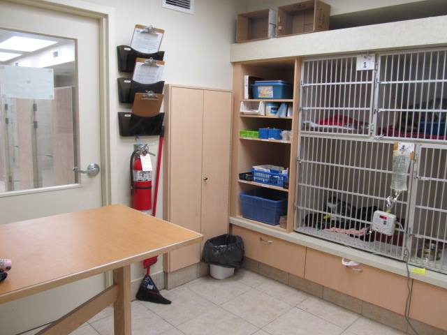 North Hill Animal Hospital | 12612 Hwy 50 #11, Bolton, ON L7E 1T6, Canada | Phone: (905) 857-5057