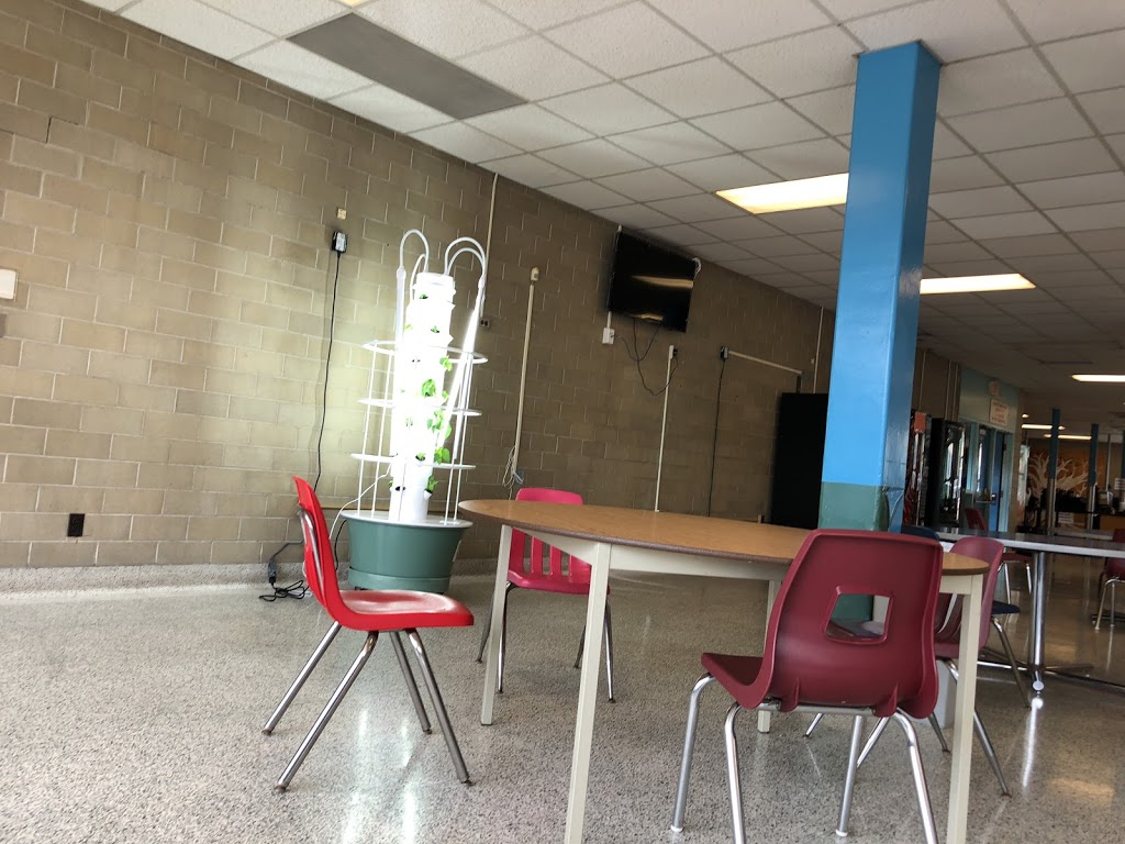 Burnhamthorpe Collegiate Institute | 500 The East Mall, Etobicoke, ON M9B 2C4, Canada | Phone: (416) 394-7130