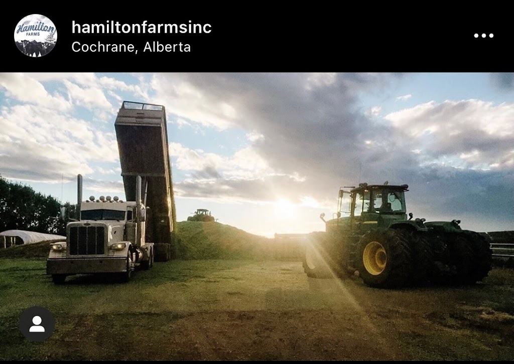 Hamilton Farms Inc | 274132 Range Rd 33, Rockyview County, AB T0M 1L0, Canada | Phone: (403) 932-5980