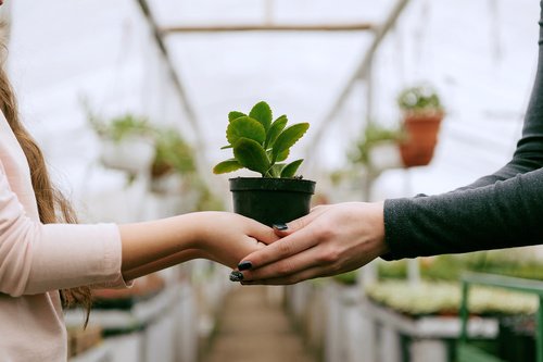 Landscaping Experts Red Deer | BB, 52 Oak Dr, Red Deer, AB T4P 0B8, Canada | Phone: (587) 401-0015