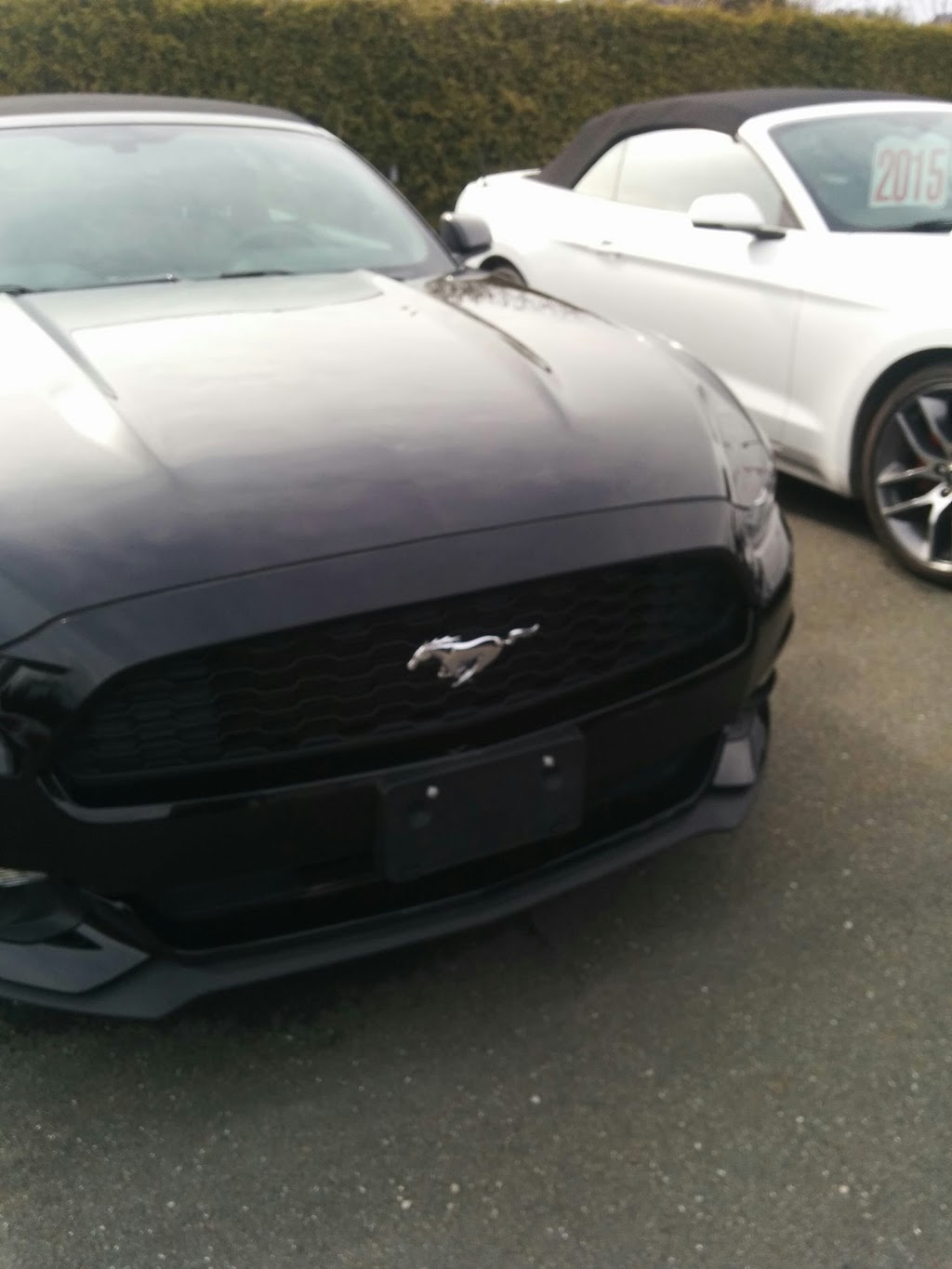 Automobiles Bruno Drouin Inc | 26 Rue Drouin, Scott, QC G0S 3G0, Canada | Phone: (418) 387-3093