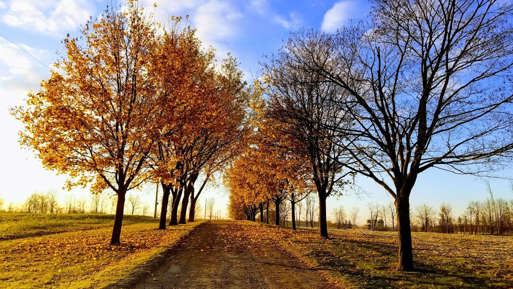 Jessica Vanlauwe | 3362 Old Beverly Rd, Cambridge, ON N1R 5S7, Canada | Phone: (519) 498-8756