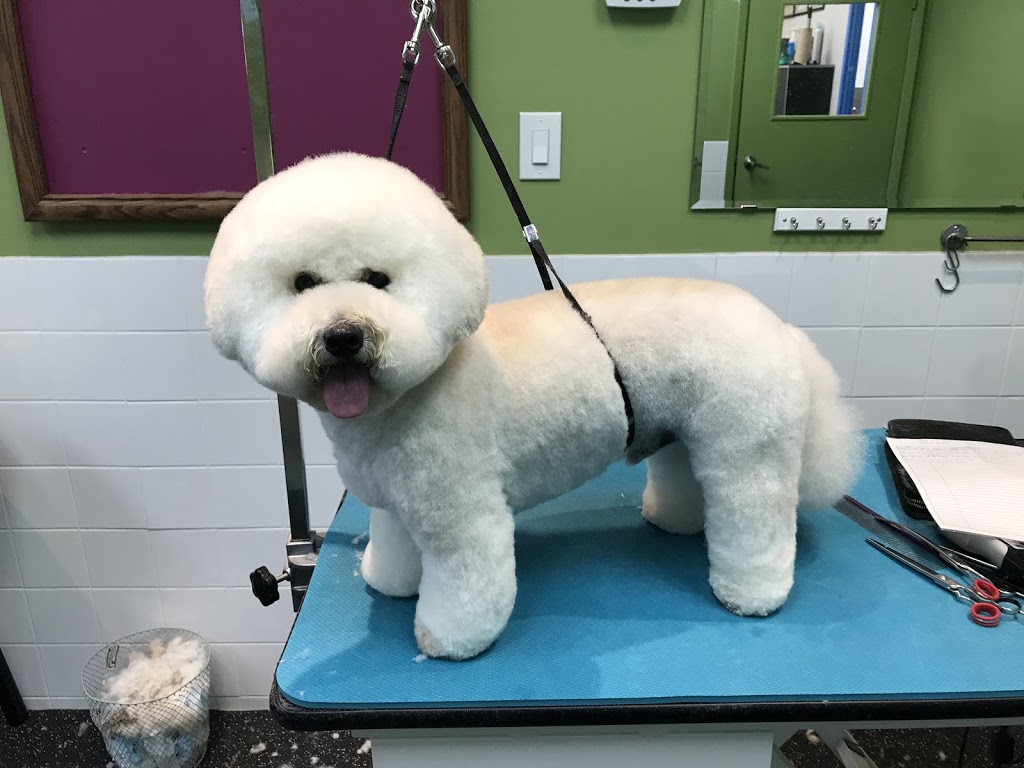 Fluffy Spa | 328 York Regional Rd 7 #3, Richmond Hill, ON L4B 3P7, Canada | Phone: (905) 709-9908