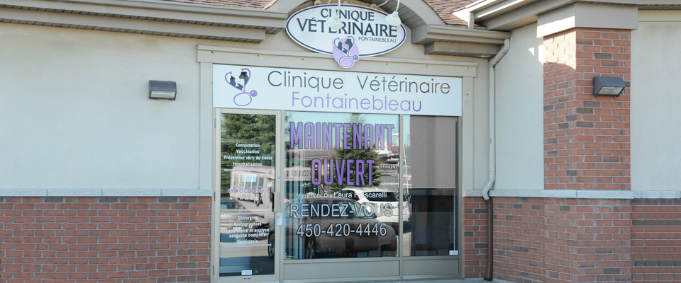 Clinique Vétérinaire Fontainebleau | 20 Boulevard des Châteaux Local 107, Blainville, QC J7B 1Z8, Canada | Phone: (450) 420-4446